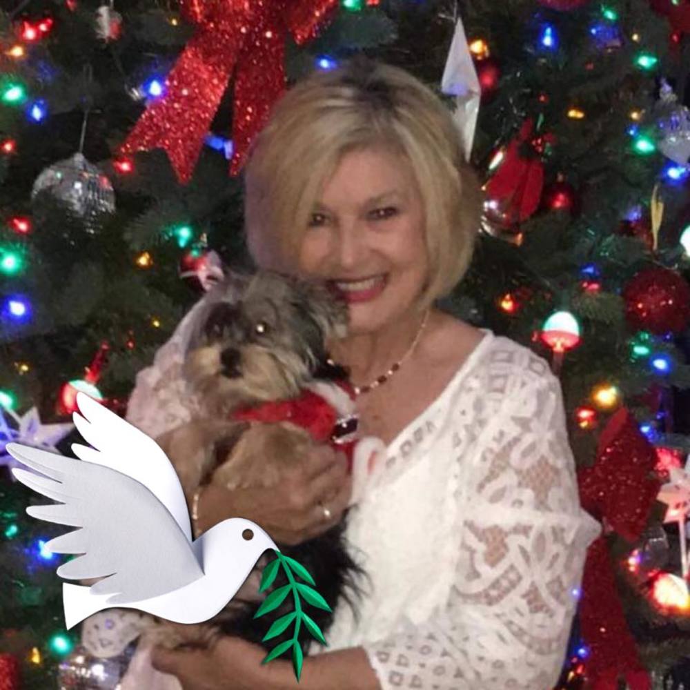 Meet your Posher, Sherry